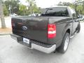 2006 F150 XLT SuperCrew #13