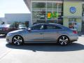 2010 CC Luxury #2