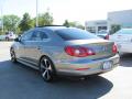 2010 CC Luxury #3
