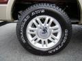 2010 F150 Lariat SuperCrew 4x4 #16