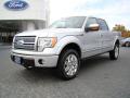 2010 F150 Platinum SuperCrew 4x4 #6