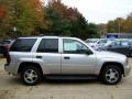 2007 TrailBlazer LS 4x4 #10