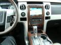 2010 F150 Platinum SuperCrew 4x4 #33
