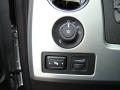2010 F150 Platinum SuperCrew 4x4 #35