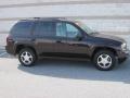 2009 TrailBlazer LT 4x4 #1