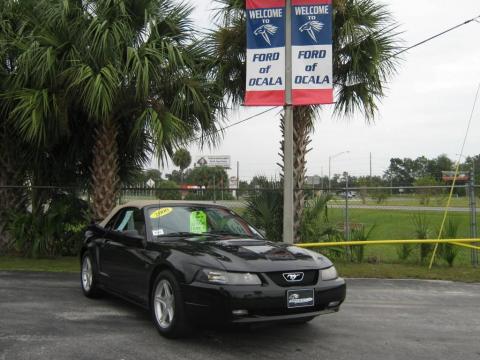 Black Ford Mustang GT Convertible.  Click to enlarge.