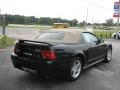 2000 Mustang GT Convertible #3