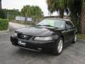 2000 Mustang GT Convertible #7