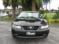 2000 Mustang GT Convertible #8