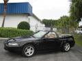 2000 Mustang GT Convertible #10
