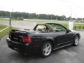 2000 Mustang GT Convertible #11