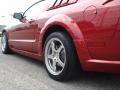 2007 Mustang Roush Stage 1 Coupe #5 2007 Mustang Roush Stage 1 Coupe #5
