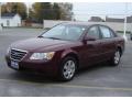 2010 Sonata GLS #7