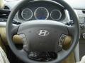 2010 Sonata GLS #14