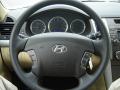 2010 Sonata GLS #14