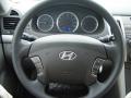 2010 Sonata GLS #14