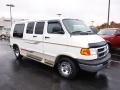 1998 Ram Van 1500 Passenger Conversion #2