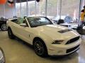 2010 Mustang Shelby GT500 Convertible #3