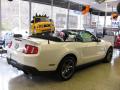 2010 Mustang Shelby GT500 Convertible #8