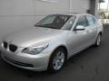 2010 5 Series 528i Sedan #2