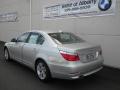 2010 5 Series 528i Sedan #3