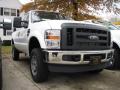 2010 F250 Super Duty XL Regular Cab 4x4 #3