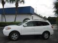 2007 Santa Fe GLS #6 2007 Santa Fe GLS #6