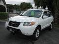2007 Santa Fe GLS #7 2007 Santa Fe GLS #7