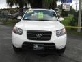2007 Santa Fe GLS #8 2007 Santa Fe GLS #8