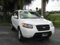 2007 Santa Fe GLS #9 2007 Santa Fe GLS #9