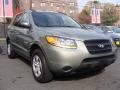 2009 Santa Fe GLS 4WD #1