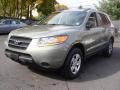 2009 Santa Fe GLS 4WD #3