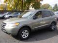 2009 Santa Fe GLS 4WD #4