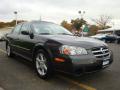 2002 Maxima SE #14