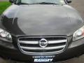 2002 Maxima SE #15