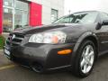 2002 Maxima SE #16