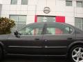 2002 Maxima SE #17