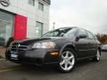 2002 Maxima SE #25