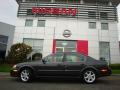 2002 Maxima SE #28