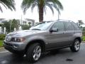 2004 X5 4.4i #2