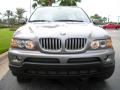 2004 X5 4.4i #3