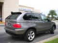 2004 X5 4.4i #6