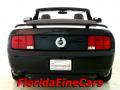 2006 Mustang GT Premium Convertible #6