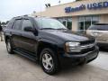 2005 TrailBlazer LS #2