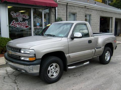 Light Pewter Metallic Chevrolet Silverado 1500 LS Regular Cab 4x4.  Click to enlarge.