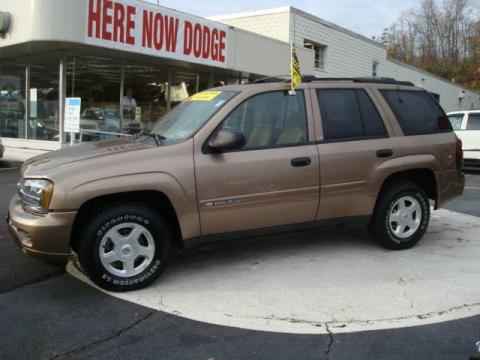 Sandalwood Metallic Chevrolet TrailBlazer LS 4x4.  Click to enlarge.