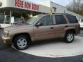 2002 TrailBlazer LS 4x4 #1