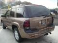 2002 TrailBlazer LS 4x4 #2