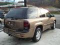 2002 TrailBlazer LS 4x4 #4
