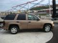 2002 TrailBlazer LS 4x4 #5